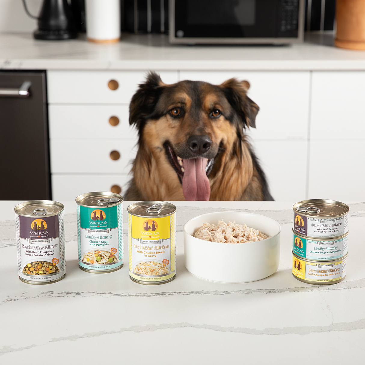 4179-Image Set - Weruva Classic Dog Lifestyle