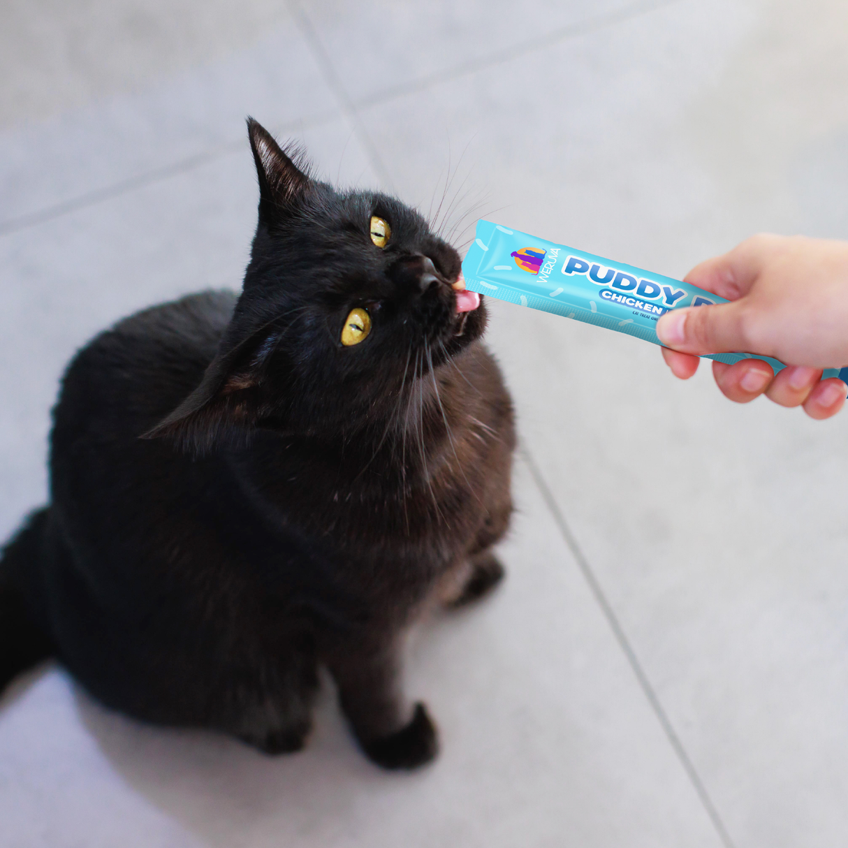 A black cat with yellow eyes sits on a tiled floor, licking a Weruva Lickable Chicken & Pumpkin Cat Treat from a blue packet held by someone's hand.