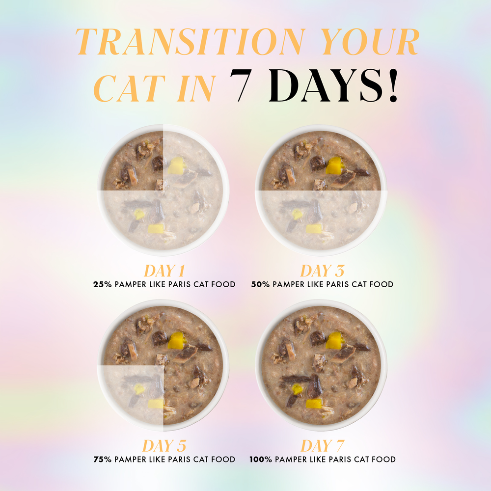 Four bowls of Weruva Chicken and Pumpkin Dinner in Gravy cat food show increasing amounts for days 1, 3, 5, and 7, with text: Transition your cat in 7 days! on a pastel background.