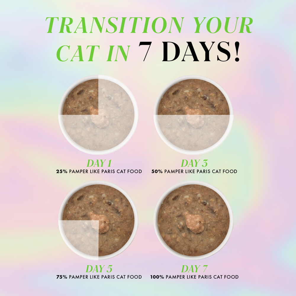 Four bowls of Weruva Chicken and Lamb Dinner in Gravy show portions from 25% on Day 1 to 100% on Day 7, with the title, “Transition Your Cat in 7 Days!”.