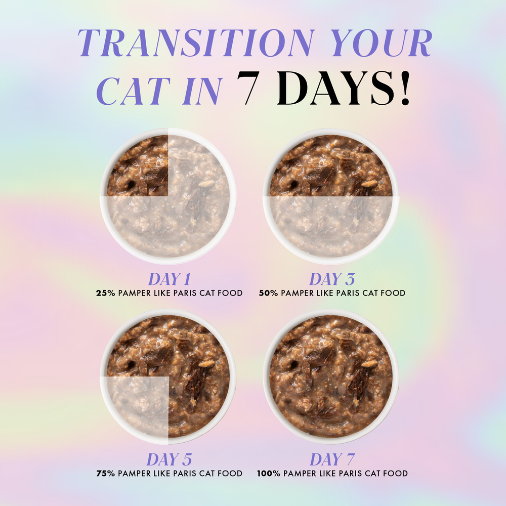 Four bowls of cat food show increasing amounts of Weruva Beef and Chicken Dinner in Gravy, from day 1 (25%) to day 7 (100%), with text on a pastel gradient background explaining how to transition your cat’s food.