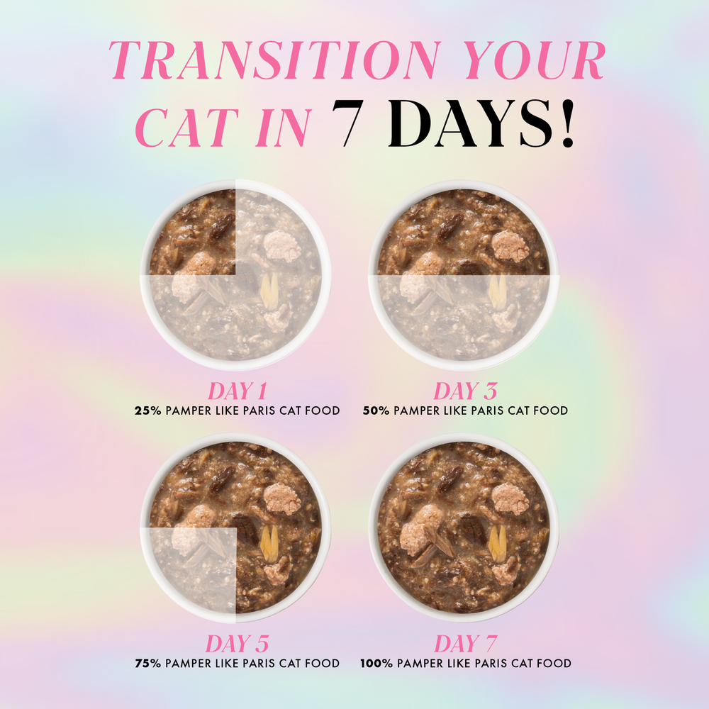Four bowls of Weruva Duck and Salmon Dinner in Gravy, arranged in a square for a 7-day transition. Each is labeled Days 1, 3, 5, and 7 with increasing amounts for pampered cats and shows corresponding food percentages.