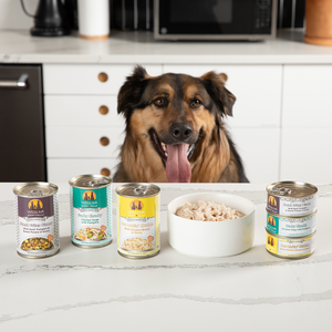 A happy dog with its tongue out sits behind a counter displaying several cans of Weruva Cluck Crew dog food and a bowl of shredded food in a modern kitchen.