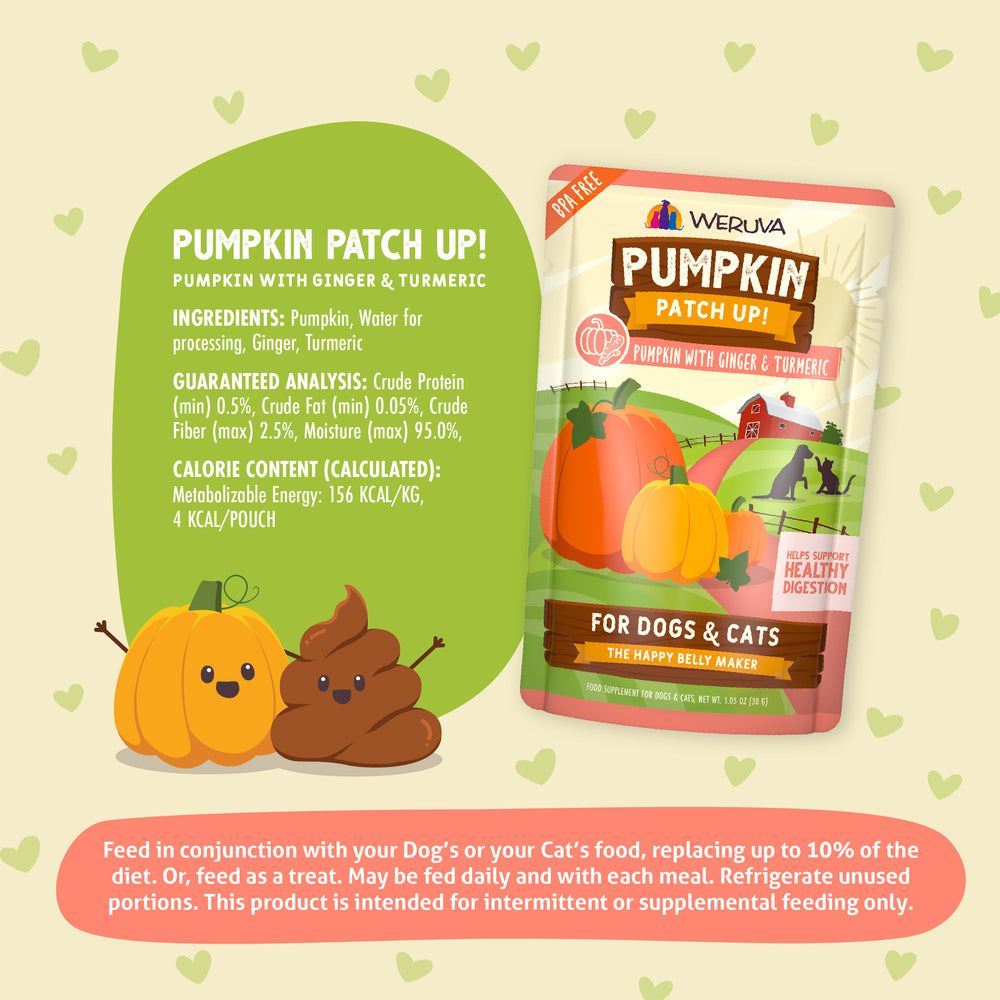 A Weruva Pumpkin with Ginger & Turmeric pet food pouch for digestive support is shown with cartoon pumpkins, a poop emoji, nutritional info, and feeding instructions for dogs and cats on a light background with green hearts.