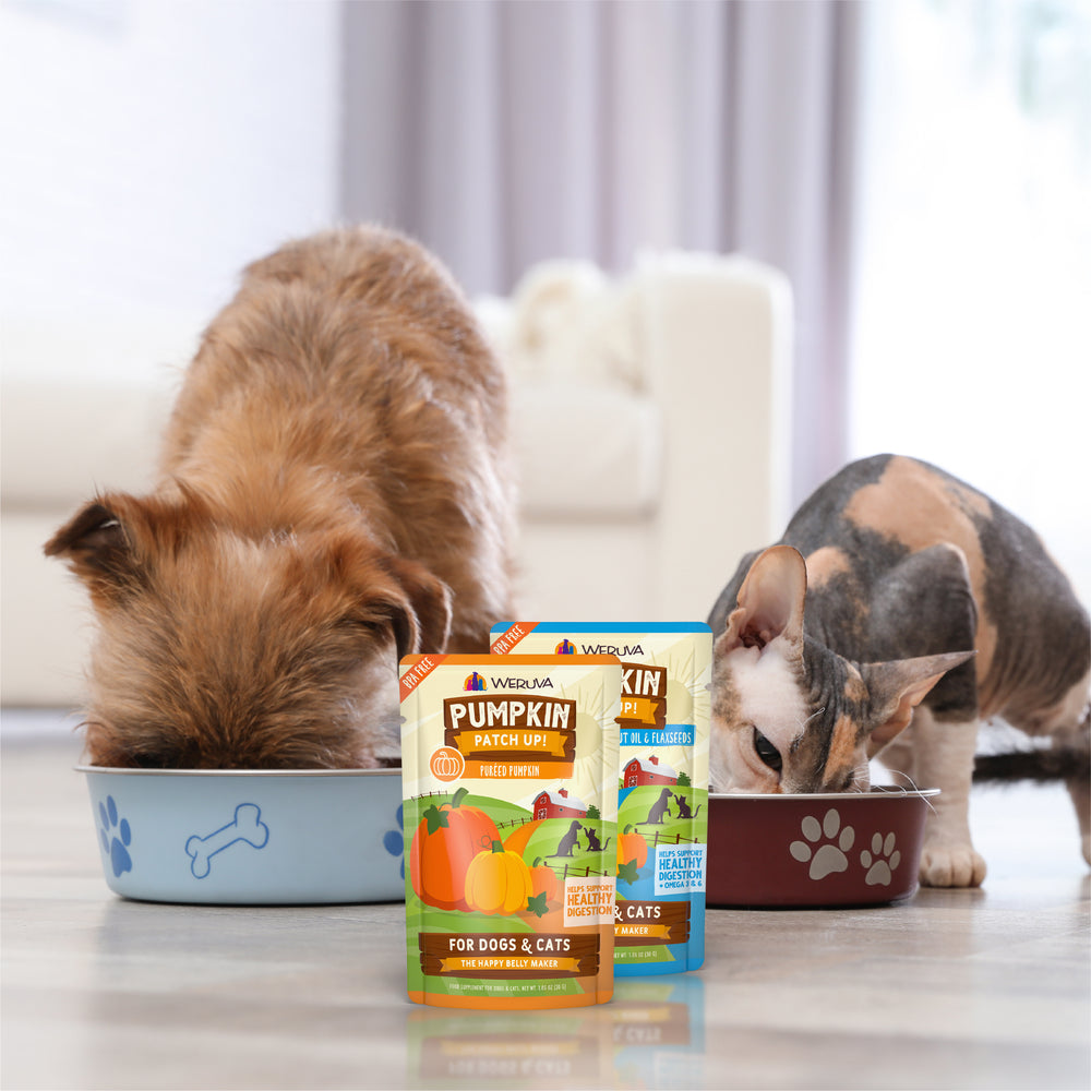 A brown dog and a hairless cat eat from food bowls on the floor. In the foreground, packs of Weruva Pumpkin with Ginger & Turmeric for digestive support are displayed. A bright, cozy living room is in the background.