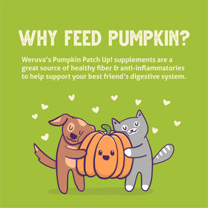 810028241213-Pumpkin-Pumpkin-What-s-Your-Function-1-0oz-Pouch.jpg