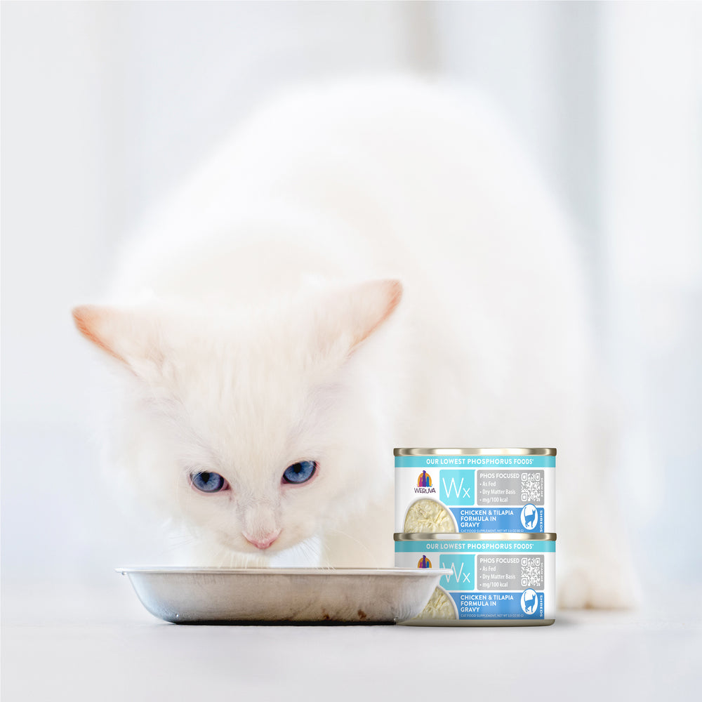 Weruva Wx Phos Focused Chicken & Tilapia Formula in Gravy Cat Food Weruva Wx Phos Focused Chicken & Tilapia Formula in Gravy Cat Food