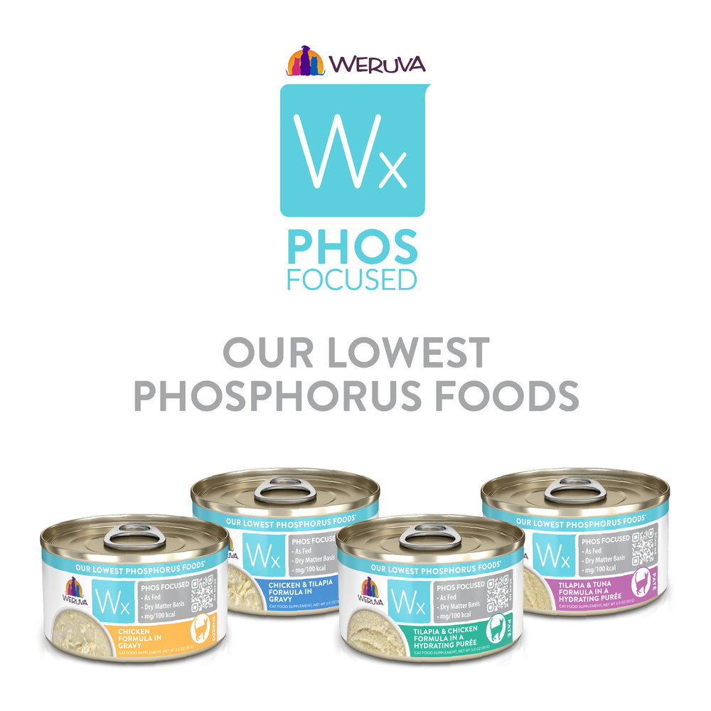 Four cans of Weruva Wx Phos Focused Gravy & Paté Formulas, each with a unique label, are lined up beneath the headline "OUR LOWEST PHOSPHORUS FOODS," featuring the Weruva logo and emphasizing essential cat nutrition.
