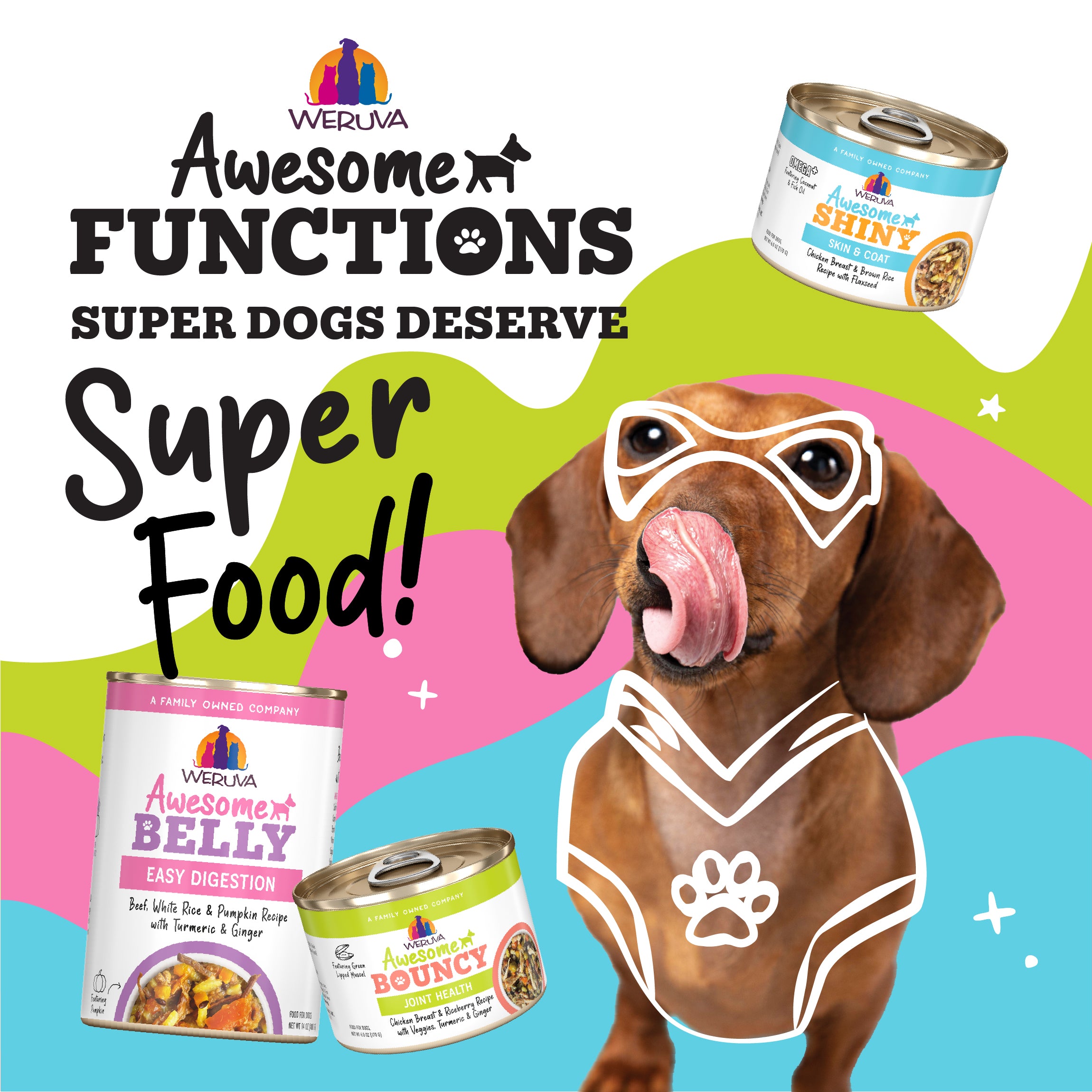 Weruva Awesome Belly Sensitive Stomach Superhero Dog Food Variety Pack