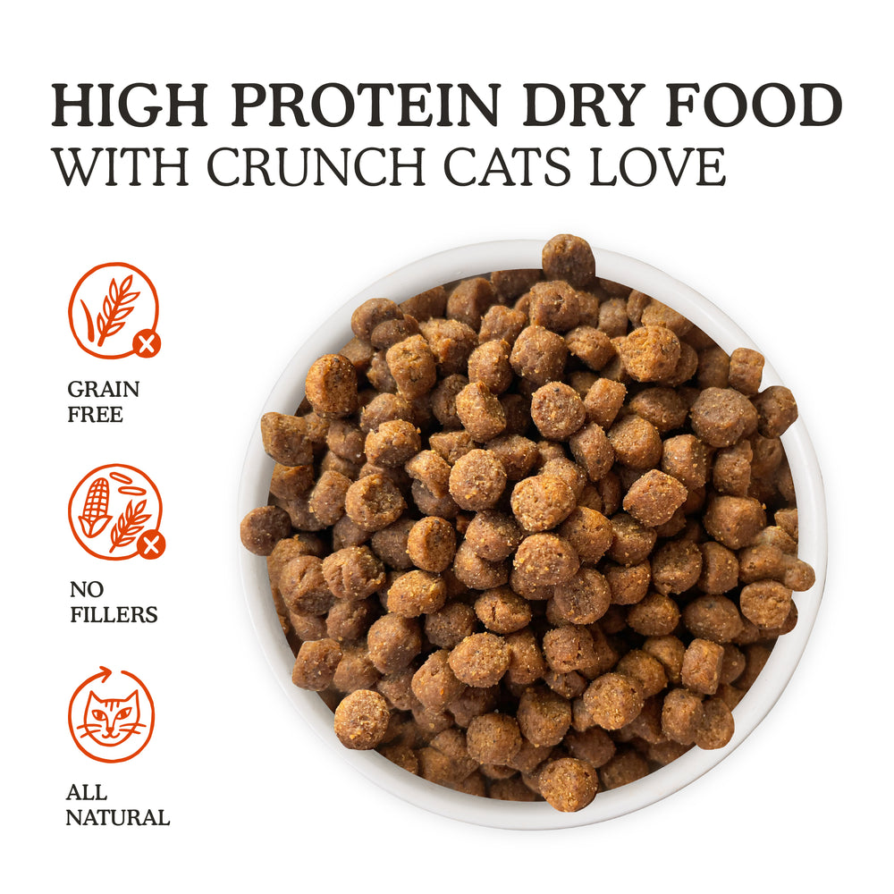 A bowl of Cat Person Chicken & Turkey Dry Food. Text above says High Protein Dry Food with Crunch Cats Love. Icons show it's all natural, with no fillers, and high protein for cats' cravings.