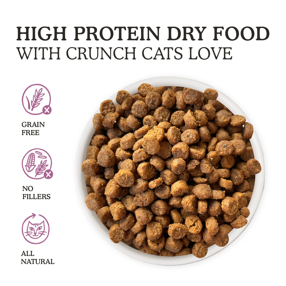 A bowl of Cat Person Duck & Turkey Dry Food with brown kibbles, shown with icons and text noting this healthy cat food is grain free, made with no fillers, and features all natural ingredients.