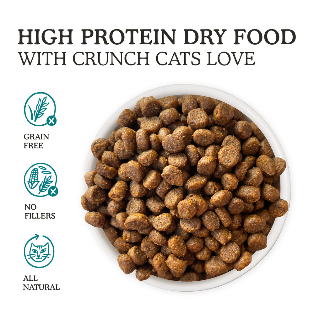 A bowl of Cat Person Salmon & Tuna Dry Food is shown next to icons for grain free, no fillers, and all natural. The main text reads: High Protein Dry Food With Crunch Cats Love.