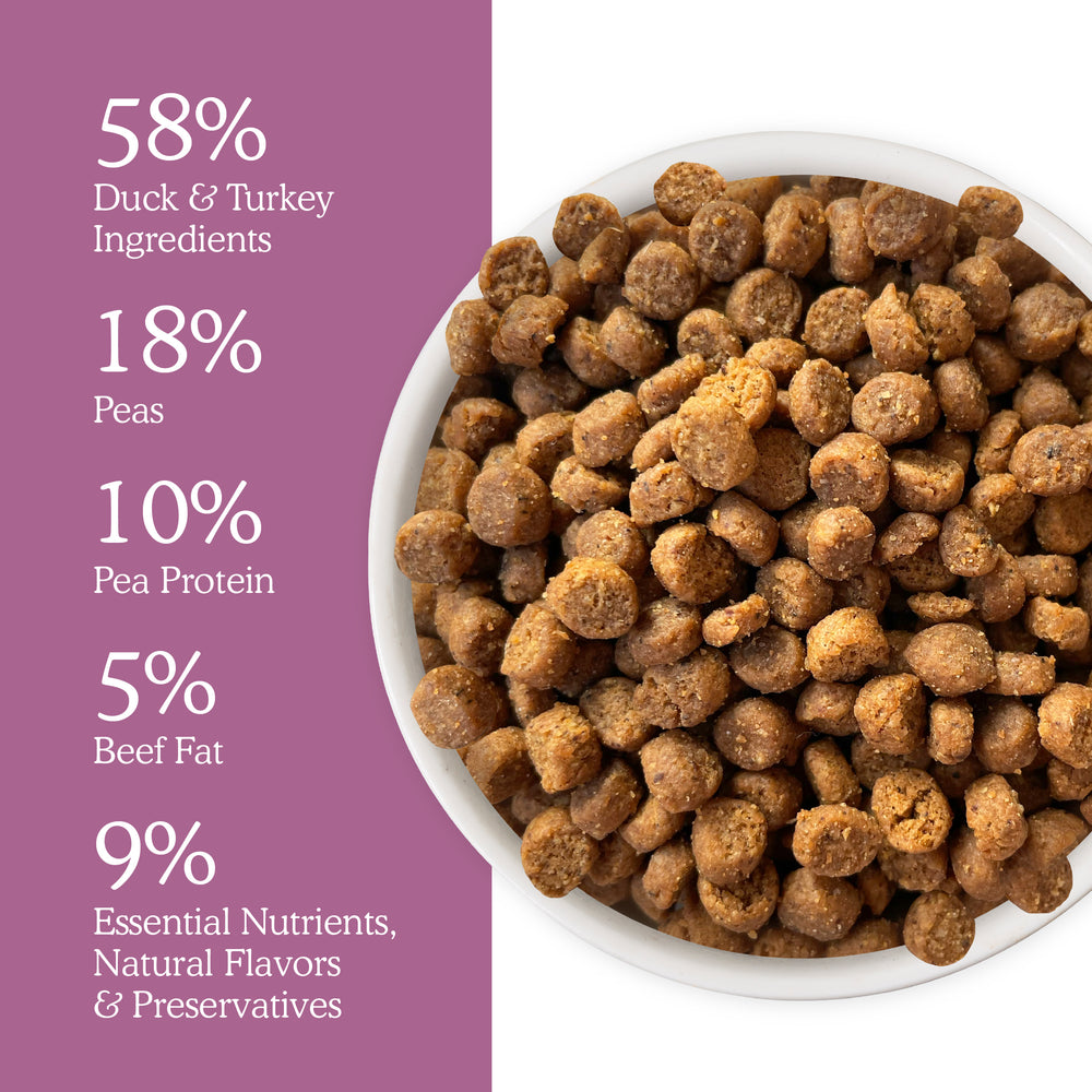 On the right is a bowl of brown kibble. On the left, a purple background lists Cat Person Duck & Turkey Dry Food ingredients: 58% duck & turkey, 18% peas, 10% pea protein, 5% beef fat, and 9% nutrients, flavors, and preservatives.