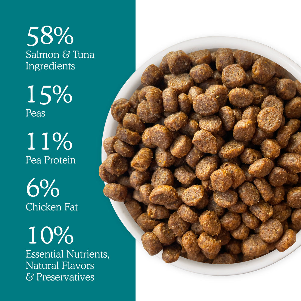 A bowl of Cat Person’s Salmon & Tuna Dry Food sits on the right, with a teal sidebar left showing: 58% salmon & tuna, 15% peas, 11% pea protein, 6% chicken fat, and 10% other essential nutrients and flavors.