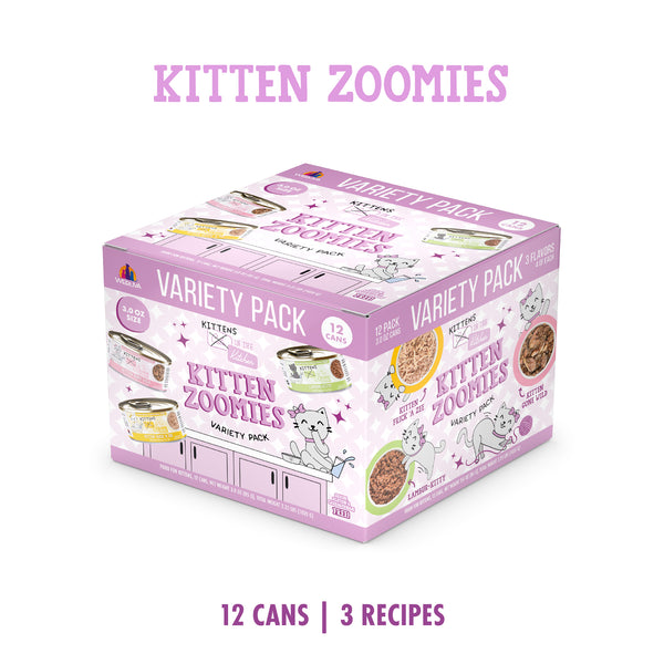 Kitten Zoomies
