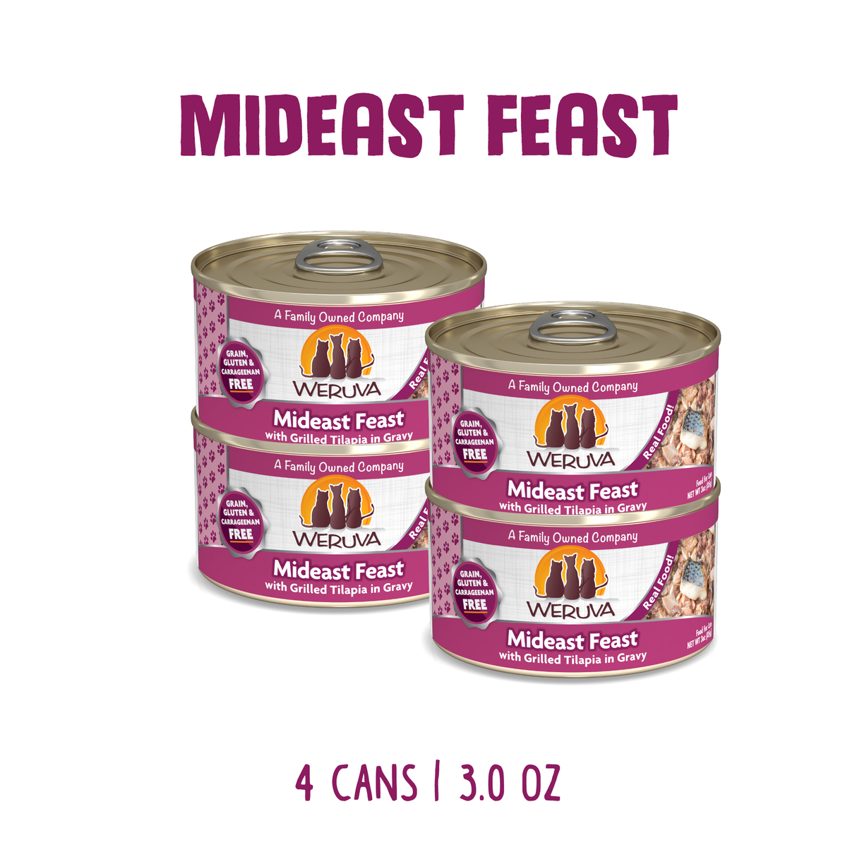 8748-810028248625 Mideast Feast 4pk