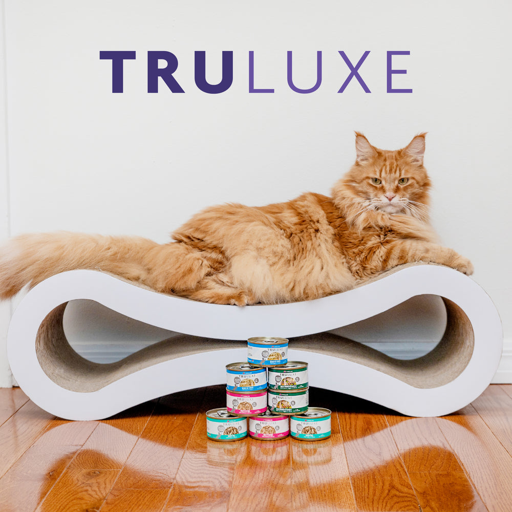 A fluffy orange cat lounges on a modern white scratcher, with cans of TruLuxe Quick 'N Quirky stacked in front. The word TruLuxe is displayed in large purple letters on the wall behind.