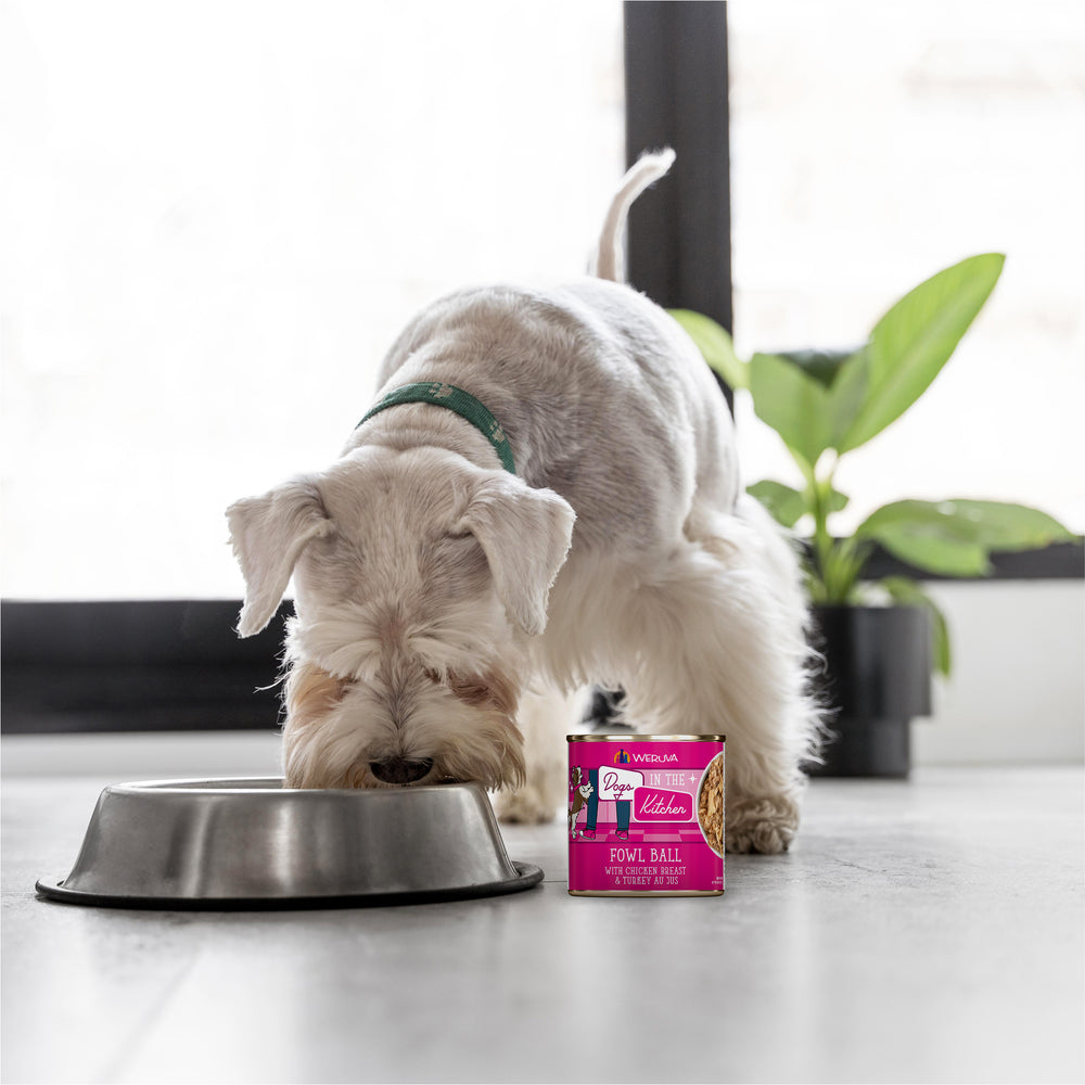 Weruva Dogs in the Kitchen Fowl Ball Grain Free Chicken & Turkey Canned Dog Food Weruva Dogs in the Kitchen Fowl Ball Grain Free Chicken & Turkey Canned Dog Food
