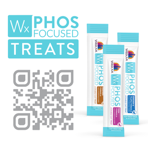 Three packets of Weruva Wx Lickable Chicken & Tilapia Cat Treats stand upright next to a large QR code and a bold blue sign displaying "Wx PHOS FOCUSED TREATS" in white letters.