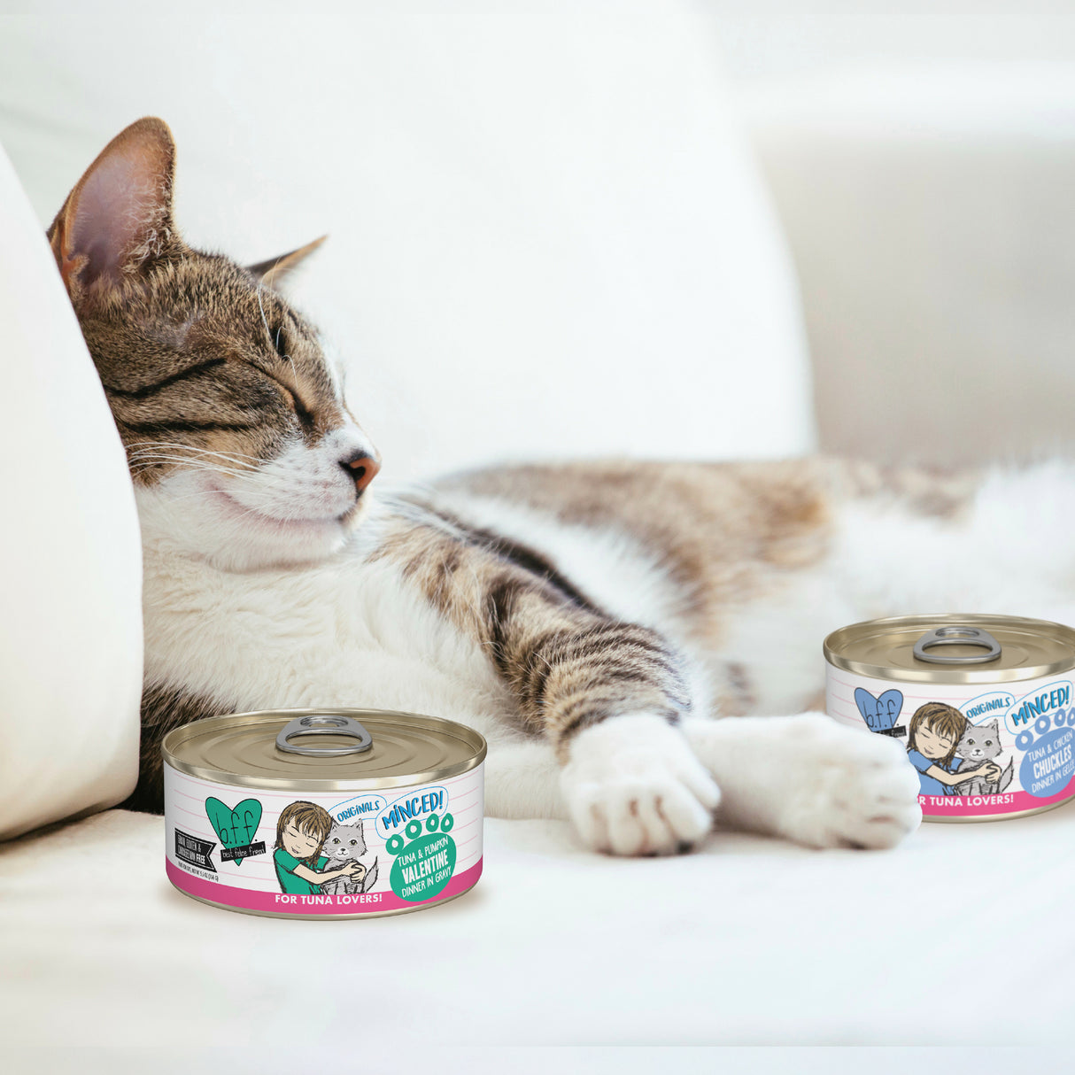 Tuna & Pumpkin Valentine