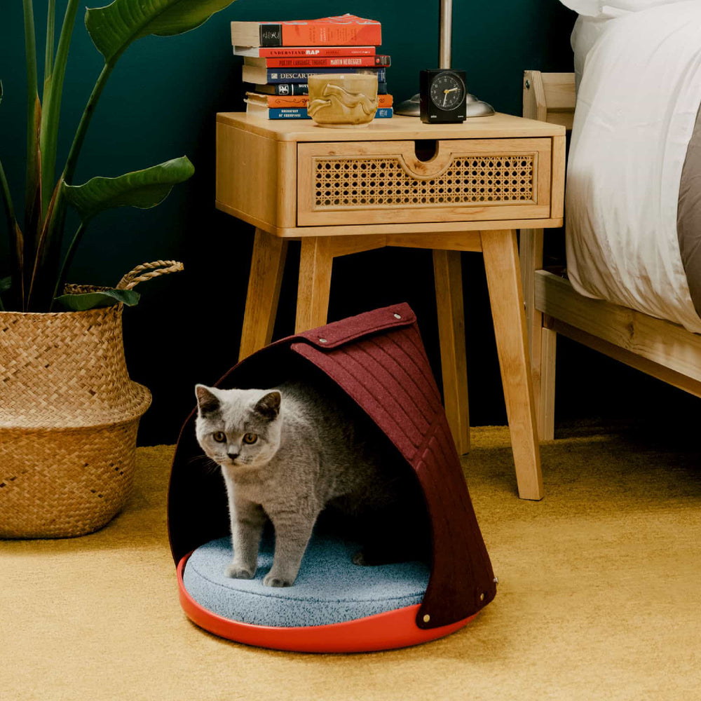 Give Your Pet Cozy Comfort With Weruva s Adjustable Canopy Bed give-your-pet-cozy-comfort-with-weruva-s-adjustable-canopy-bed