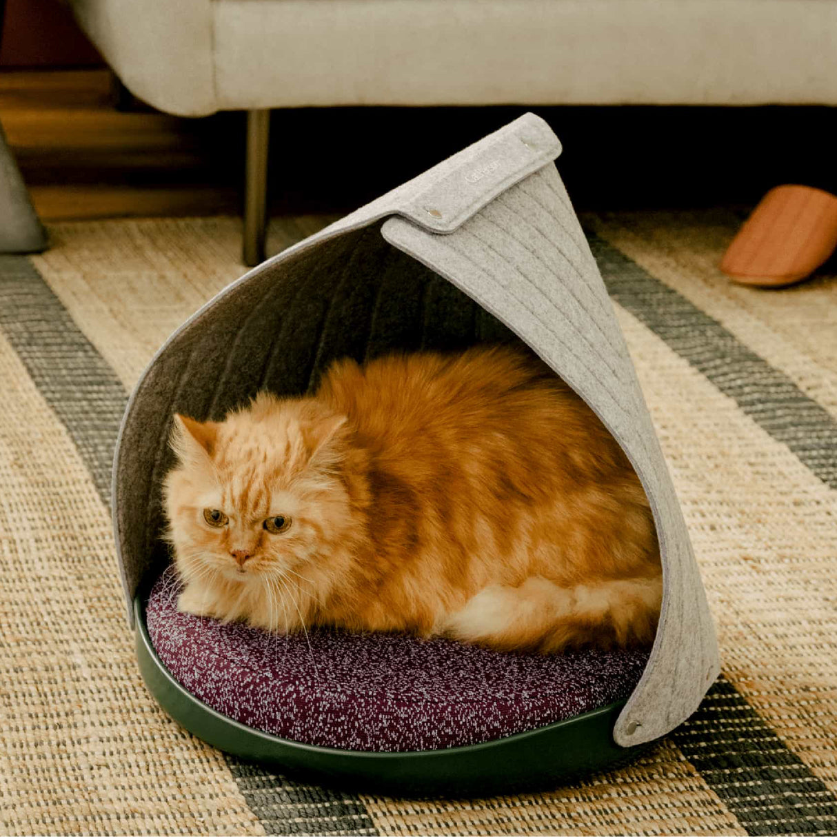 Give Your Pet Cozy Comfort With Weruva s Adjustable Canopy Bed give-your-pet-cozy-comfort-with-weruva-s-adjustable-canopy-bed