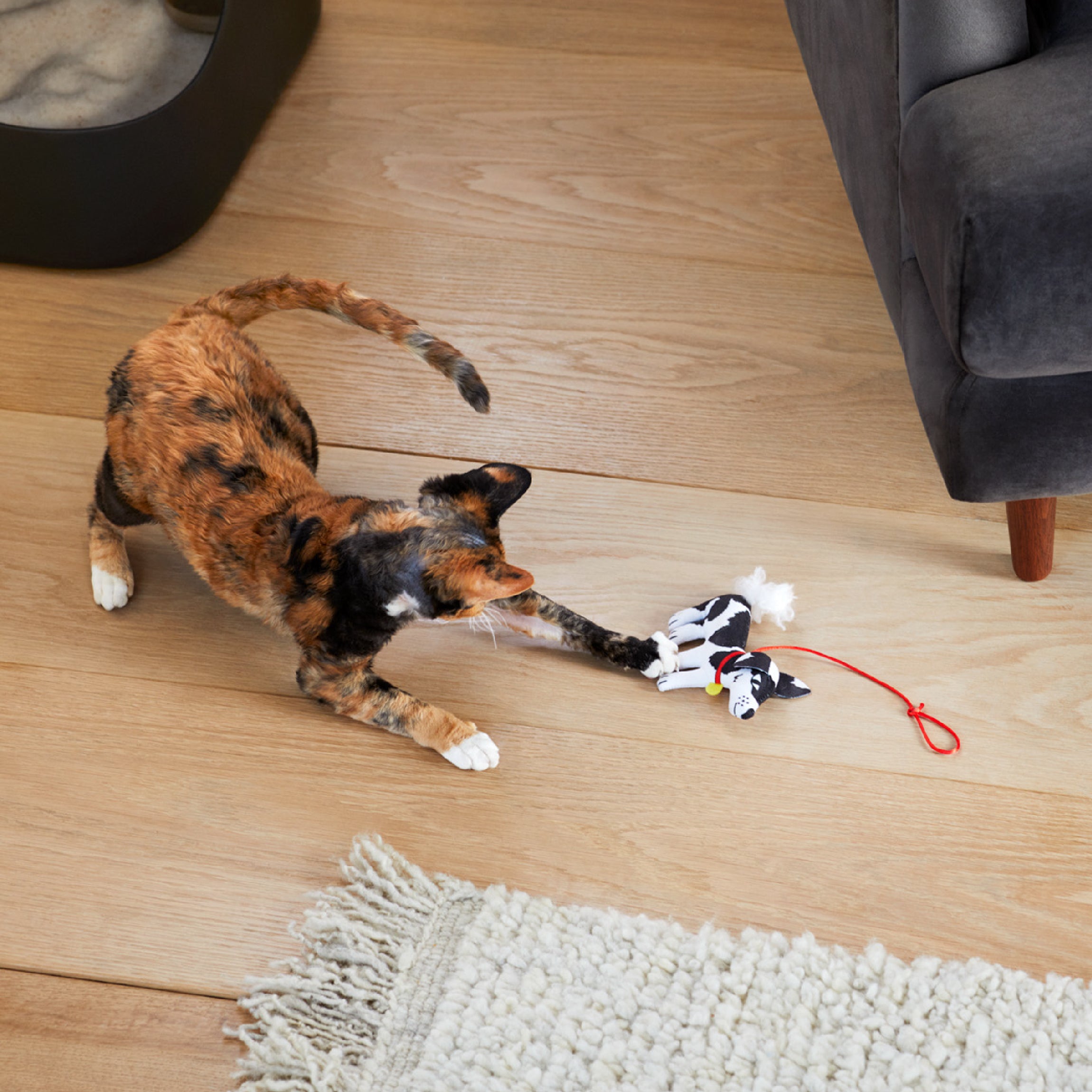 Challenge Your Cat's Instincts With The Jason Woof Catnip Toy – Weruva