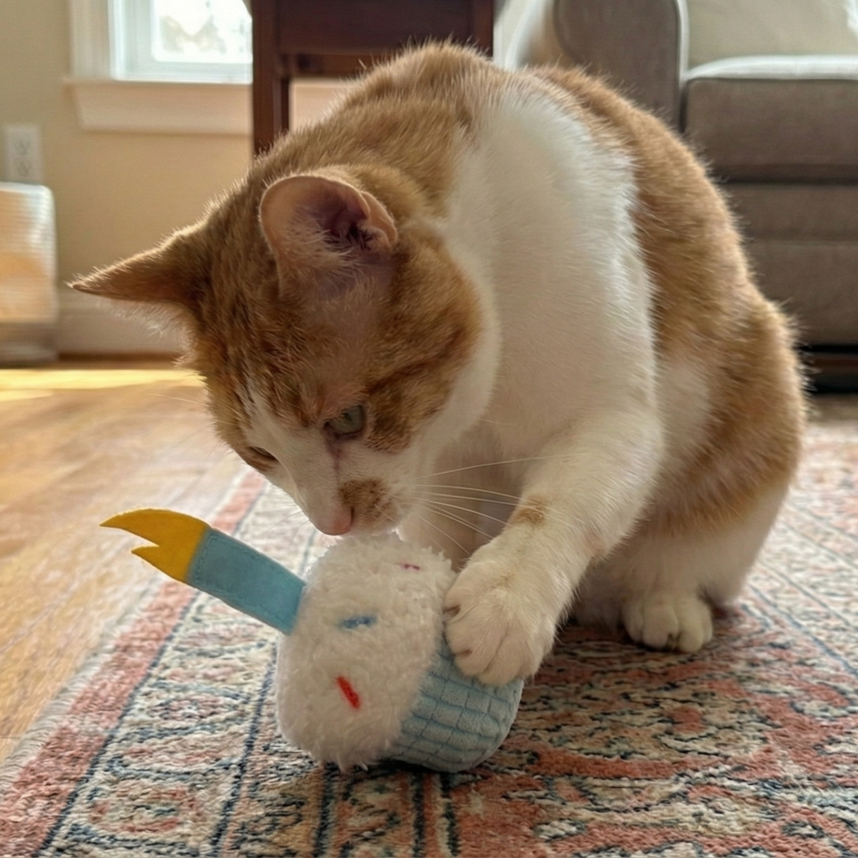 An orange and white cat sits on a rug, playing with the Weruva Little Cupcake Catnip Cat Toy. The plush cupcake toy, featuring a yellow candle, is bathed in sunlight streaming through a window in the background.