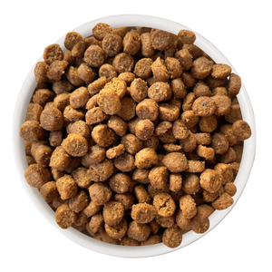Duck & Turkey Dry Food