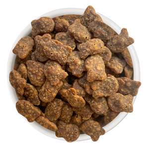 CP-FDS-00015-Food-Bowl-Cat-Person-Savory-Crunchies-Salmon.png