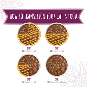 P0015-Soulistic Moist & Tender Pouches Transition