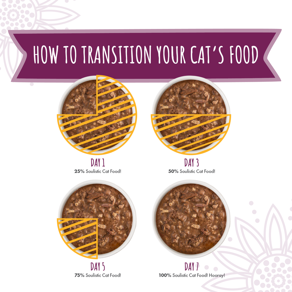 An infographic titled How to Transition Your Cat’s Food shows four bowls with increasing amounts of Soulistic Tuna & Duck Dinner in Gravy from day 1 to day 7, progressing from 25% to 100% of the new food.