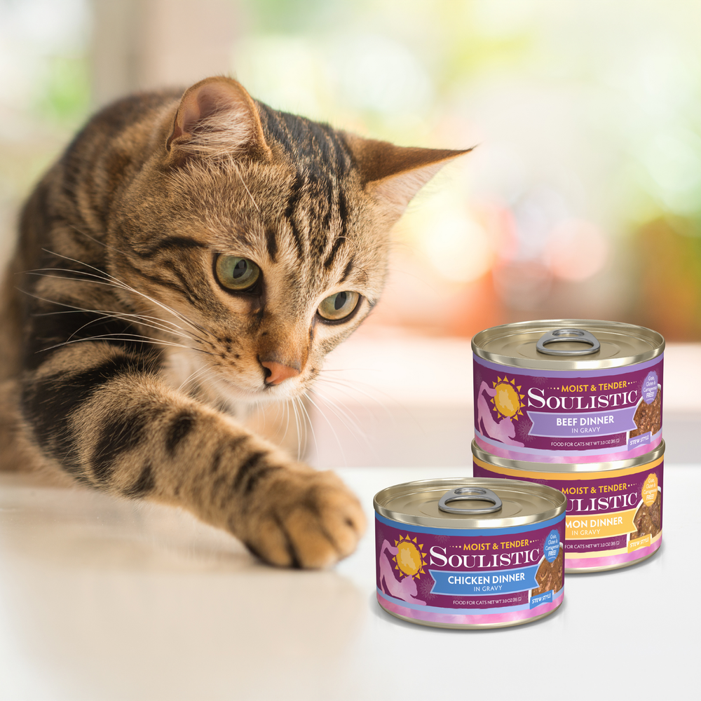 A brown tabby cat reaches toward three stacked cans of Soulistic Duck Dinner in Gravy cat food on a white surface, with a softly blurred background.