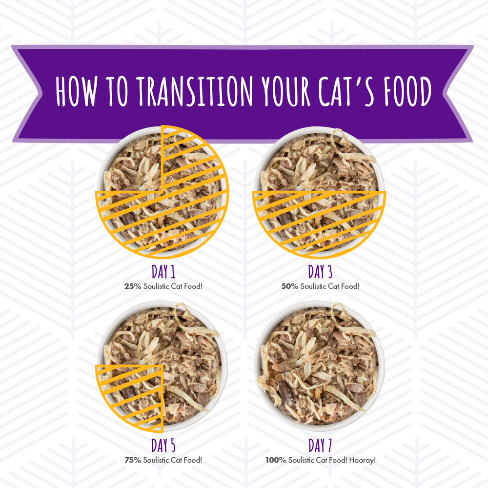 S0062-Soulistic Brand Image Food Transition