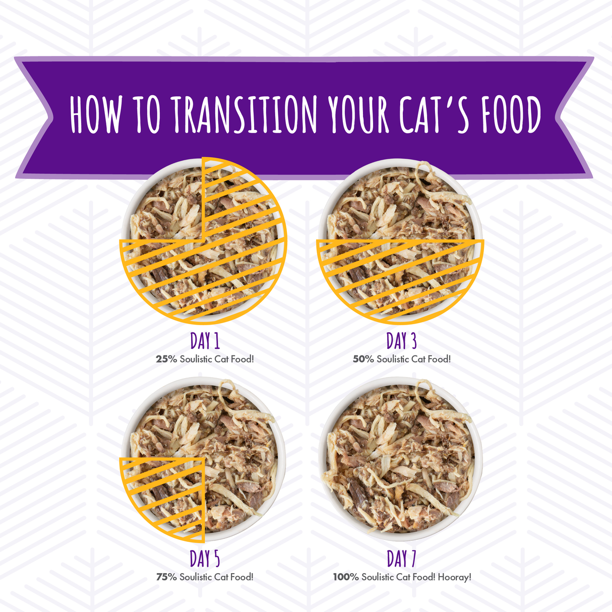 S0064-Soulistic Brand Image Food Transition
