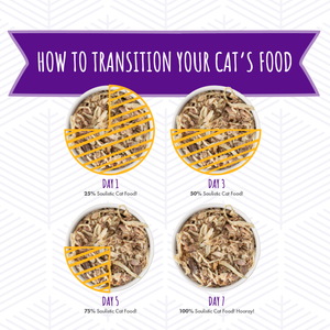 S0064-Soulistic Brand Image Food Transition