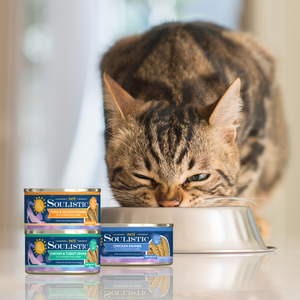 S0070-Soulistic Cat Paté Image Set Lifestyle