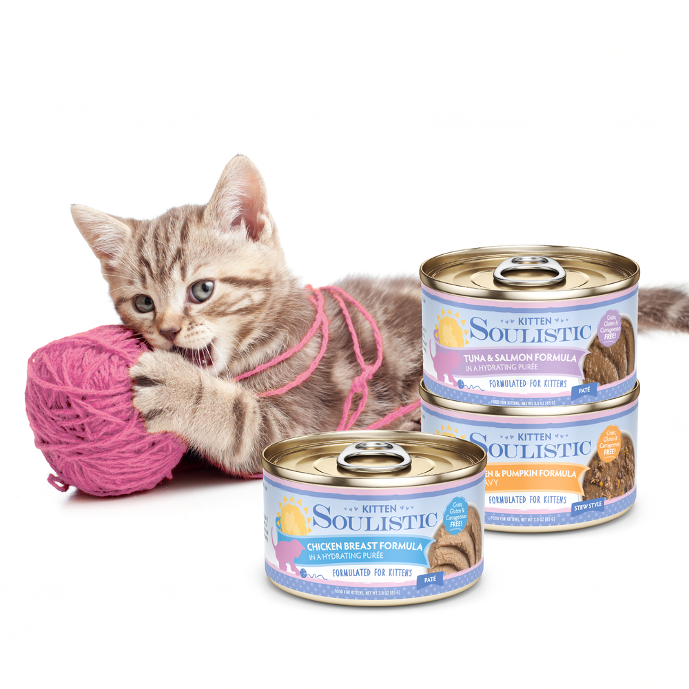 A light brown tabby kitten plays with a pink yarn ball next to three stacked cans of Soulistic Chicken & Pumpkin Formula in Gravy kitten food, offering balanced nutrition.