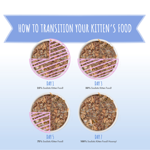 S0096-Soulistic Kitten Image Set - Food Transition