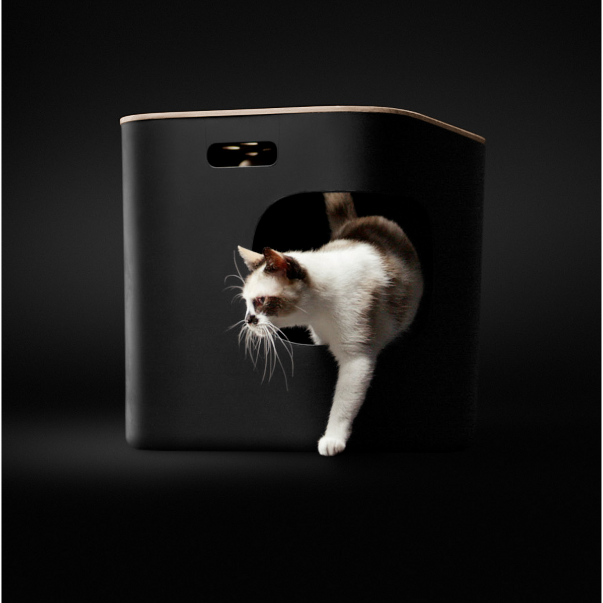 Skylight Litter Box