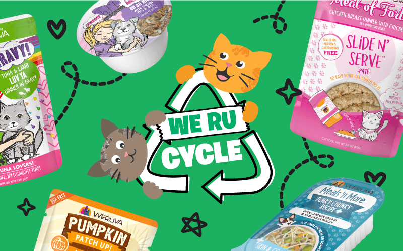 Recycling cat food pouches near me hotsell