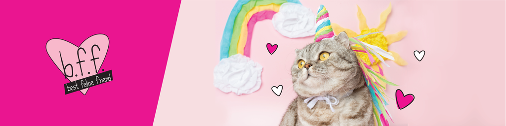 Best feline deals friend