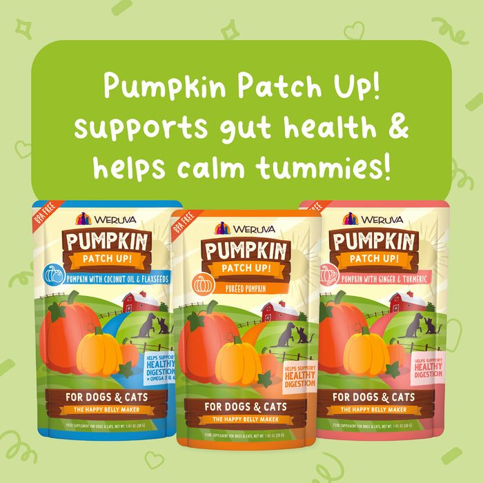 Three Weruva Pumpkin Patch Up! pouches for dogs and cats are shown, each with a different flavor. Text above reads: “Pumpkin Patch Up! supports gut health & helps calm tummies!” on a green background.