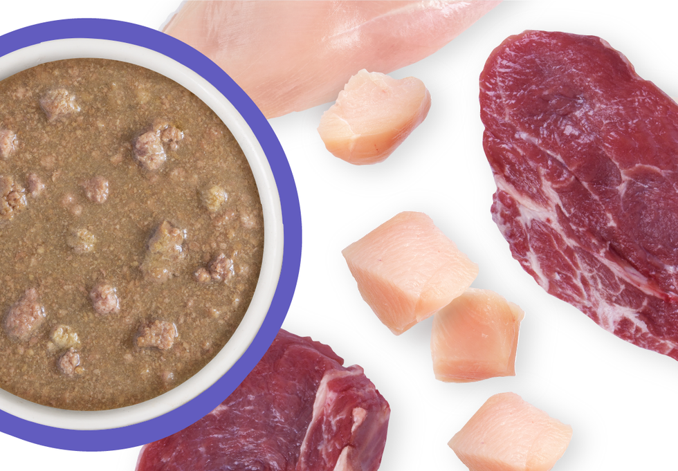 Food Bowl With Ingredients Used Scattered Around It