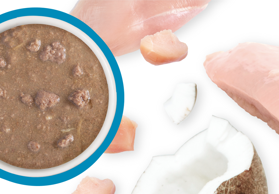 Food Bowl With Ingredients Used Scattered Around It