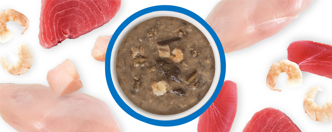 Food Bowl With Ingredients Used Scattered Around It