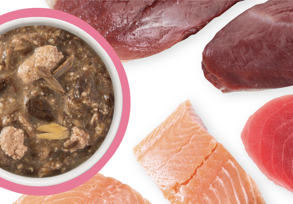 Food Bowl With Ingredients Used Scattered Around It