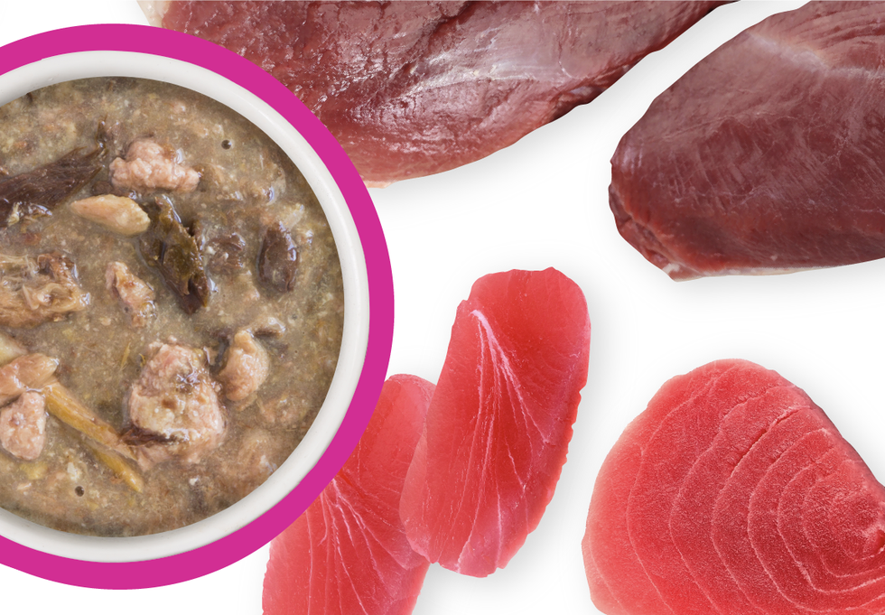 Food Bowl With Ingredients Used Scattered Around It