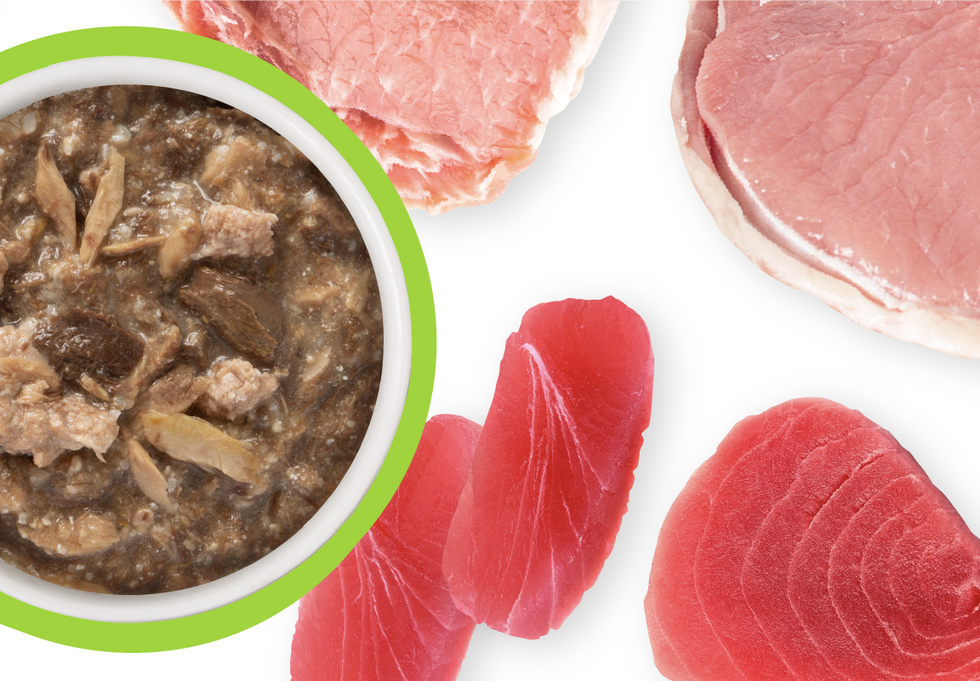 Food Bowl With Ingredients Used Scattered Around It