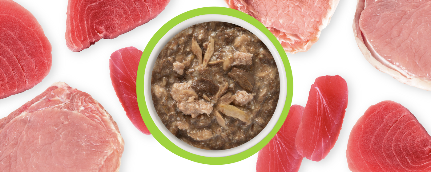 Food Bowl With Ingredients Used Scattered Around It